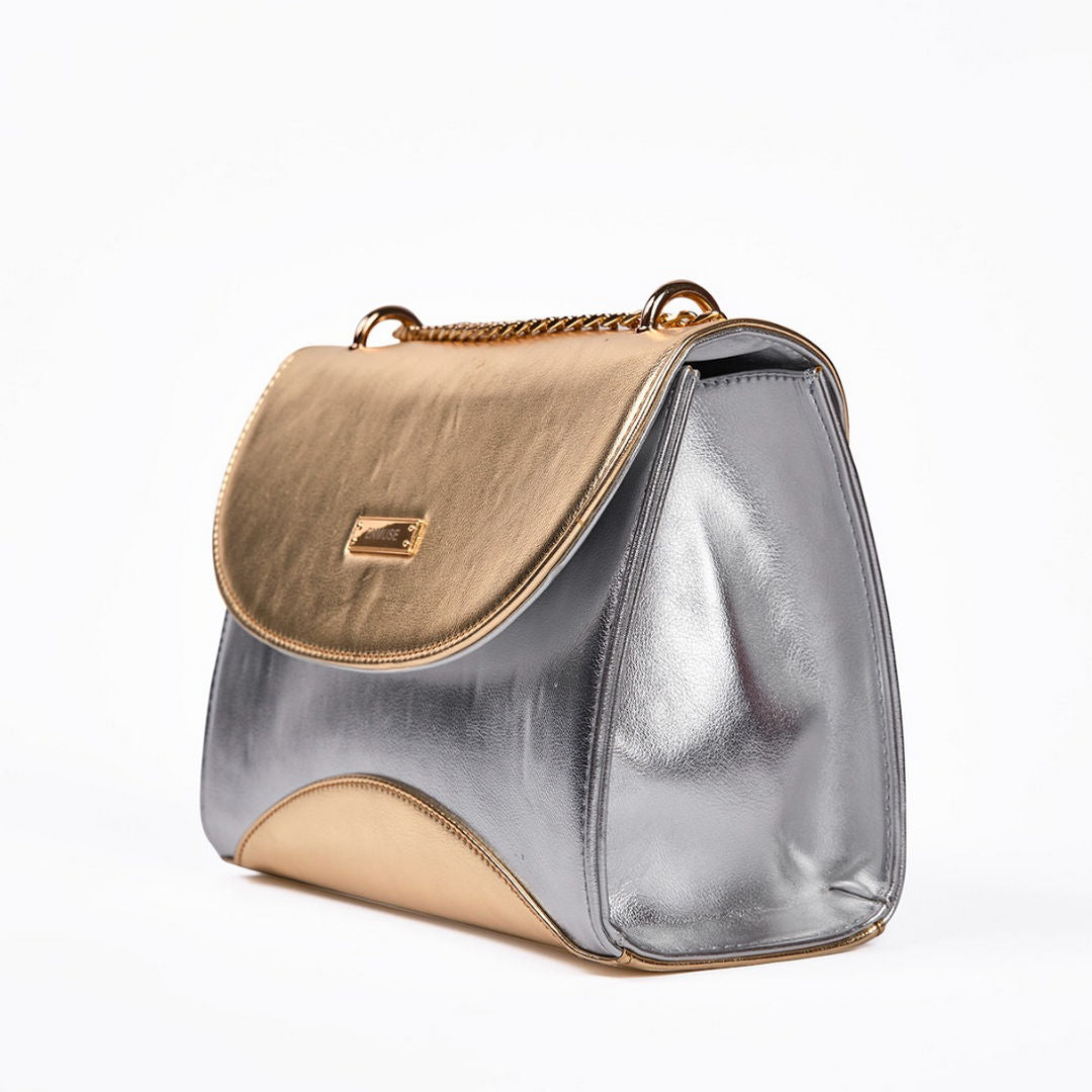 Casual Bag / Party - Golden & Silver